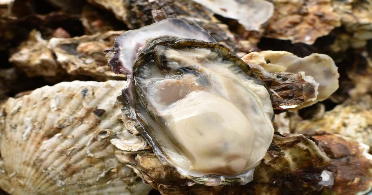 国分グループとの「食の産業観光」の共同推進