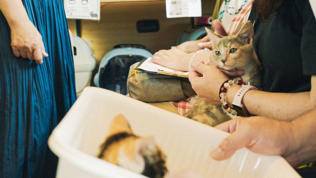 猫と進めるまちづくり、官民連携事例のPR映像 / 記事制作