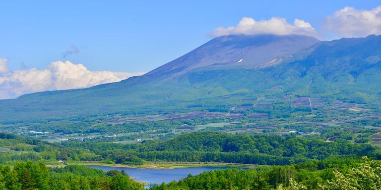 産業観光プラットフォームのマイプロダクトと嬬恋村、ふるさと納税対応の体験プラン提供に向けて契約締結